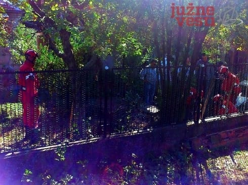 Ubio roditelje drvenom motkom 6 vade raskomadana tela