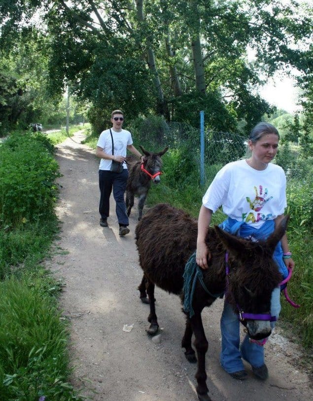 Zbrinjavanje magarac