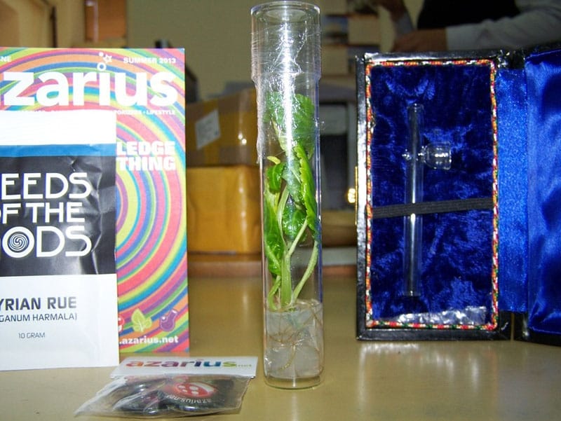 Nišlija poštom naručio drogu 4 carina droga Nis