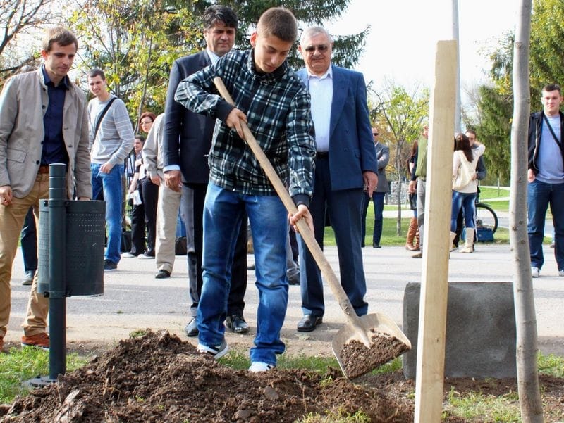 ivan krstic sin ivana krstica belog
