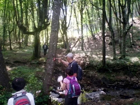 490x370 1001297 608676835833574 1862821791 n