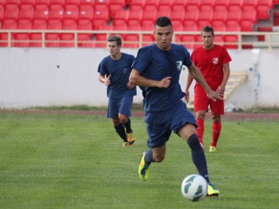 aleksandar stankovic radnicki nis