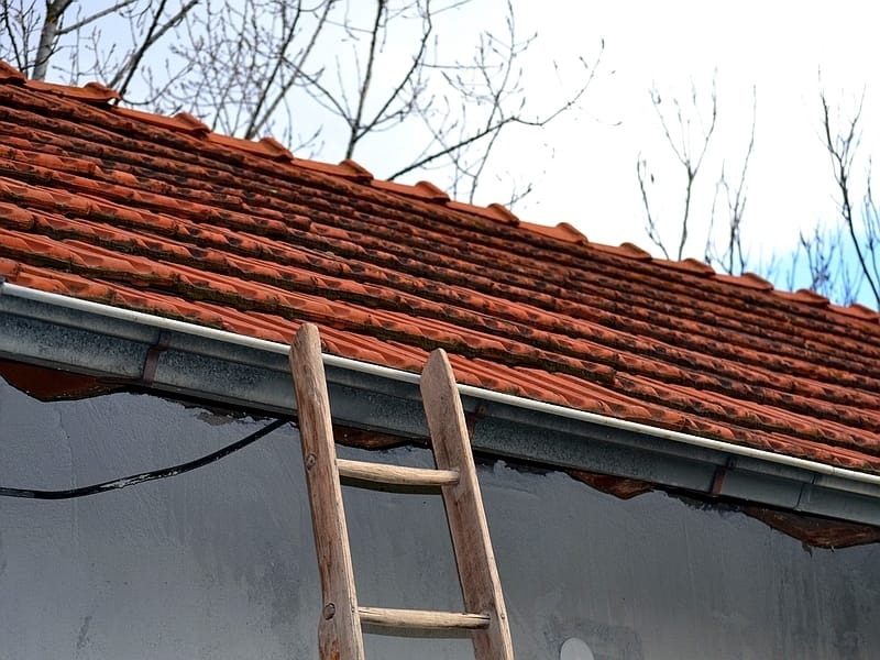 kosta ilustracija KROV POPRAVKE