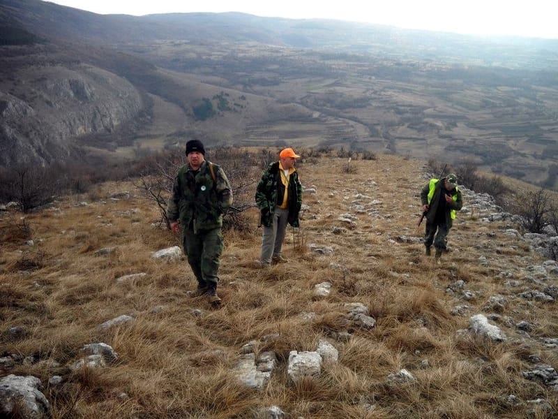 733883 569412693069013 447343641 n