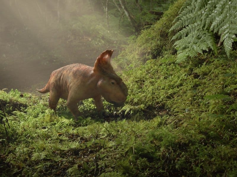 "Šetnja sa dinosaurusima" u Vilinom gradu 11 dino