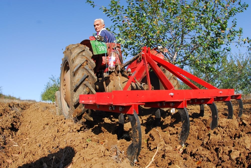 Poljoprivreda sljive