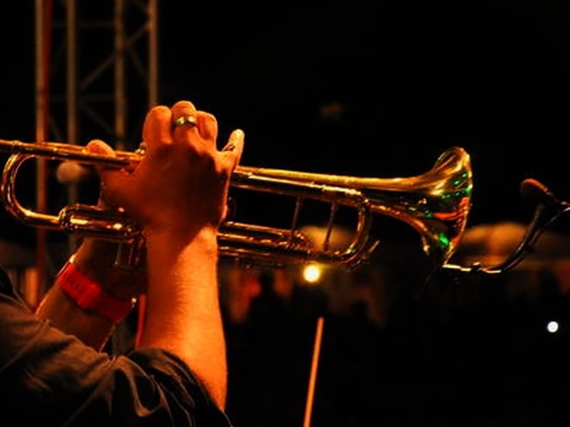 truba koncert ilustracija kosta juzne vesti