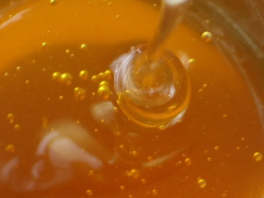 Prokupačkim pčelarima 7 miliona dinara za formiranje zadruge 15 Med