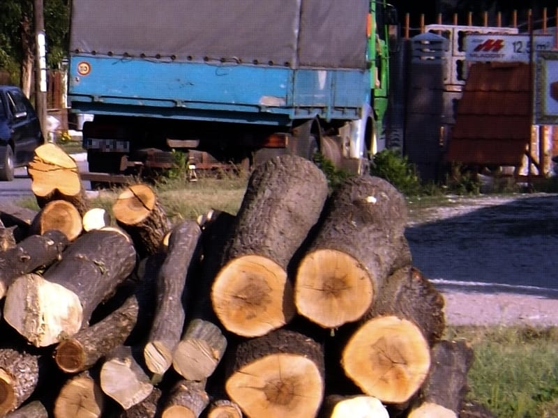 ilustracija drva kamion kosta juzne vesti