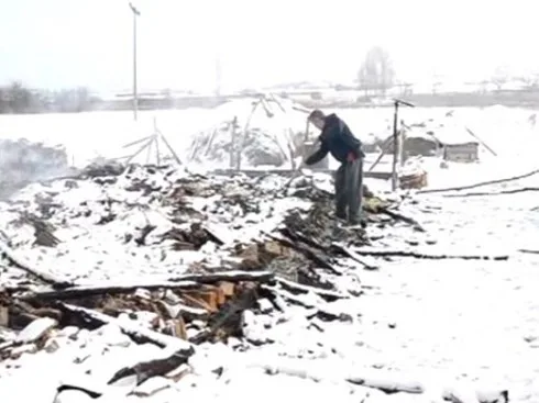 U požaru izgorelo stado ovaca 15 ovce pozar