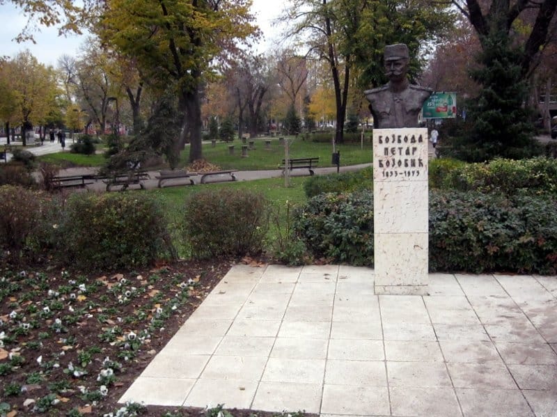 O spomenicima da brinu preduzeća 7 spomenik petru bojovicu