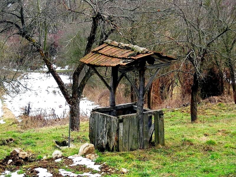 Bunar ilsutracija Kosta Juzne vesti