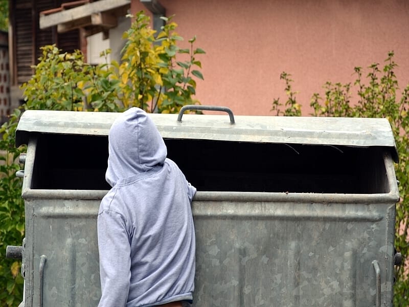 ciscenje kontejner ilustracija KOSTA Juzne vesti