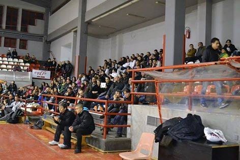 1501863 545723050313 128974601 n