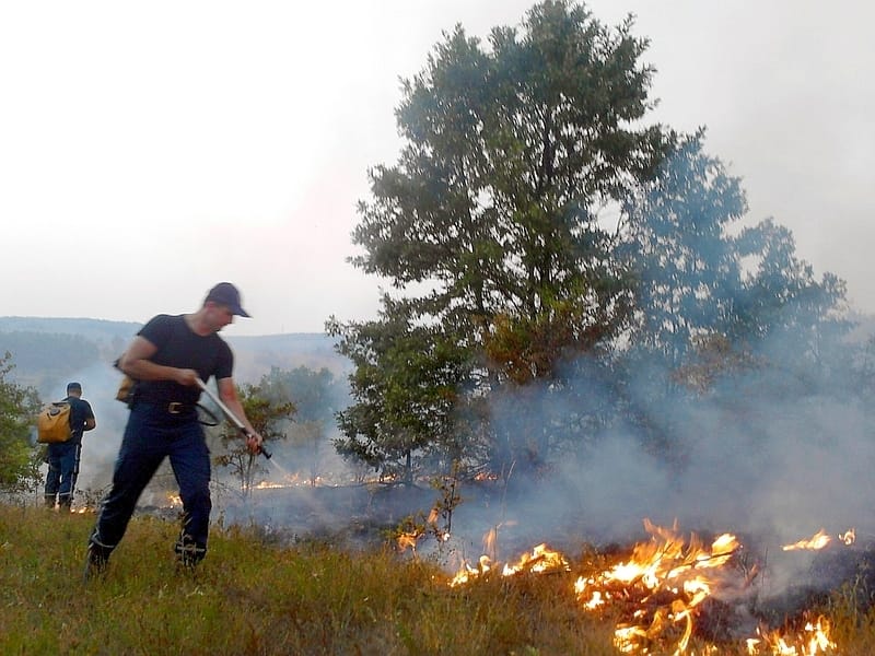 Dva požara u Svrljigu 1 P240812 19 12 02