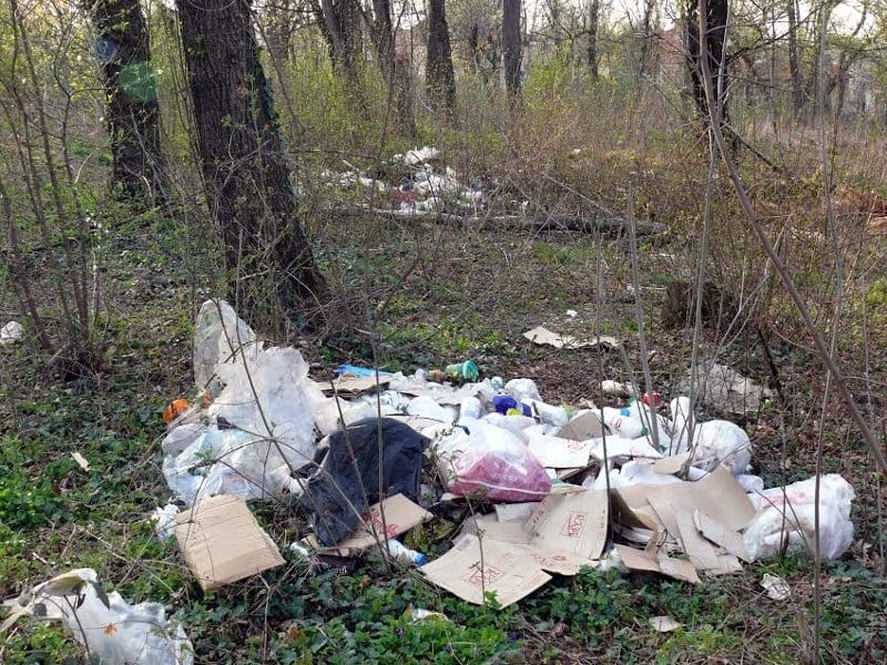 Ledena stena ekologija