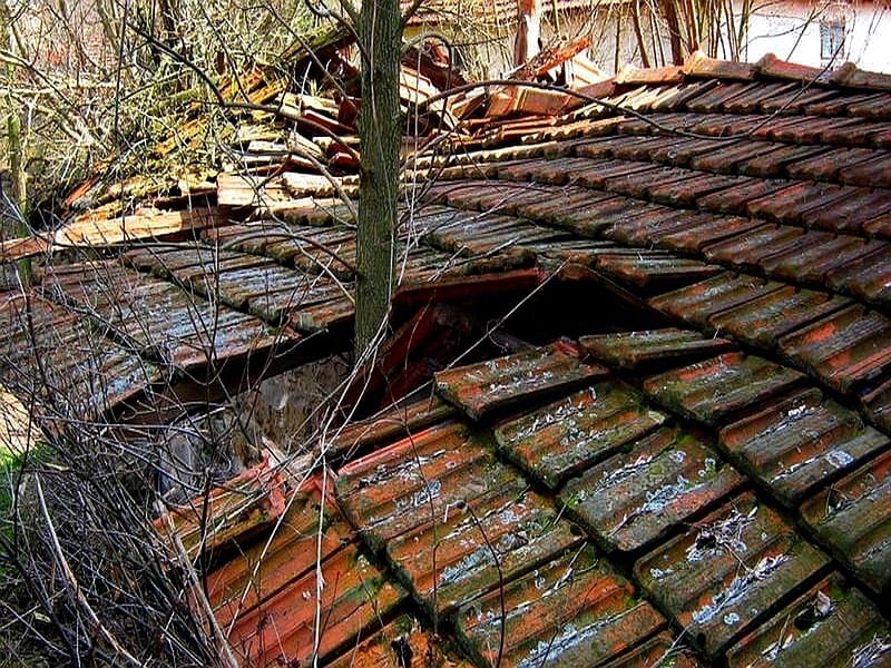 krov ilustracija foto Aleksandar Kostic JUZNE VESTI