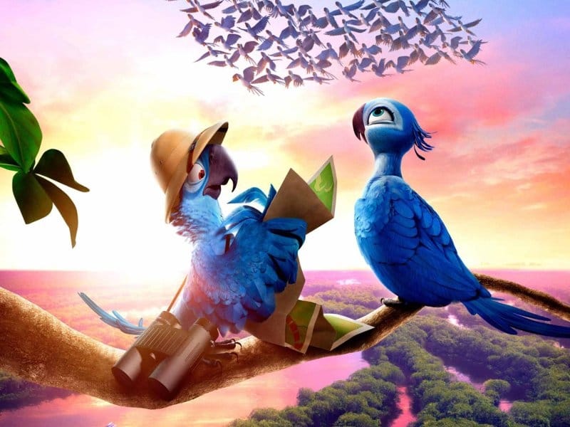 awesome rio2 wallpaper background hd rio2 movie wallpaper