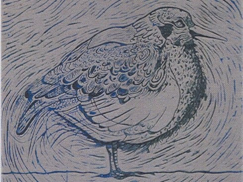 Savina Tomanovic Kostov