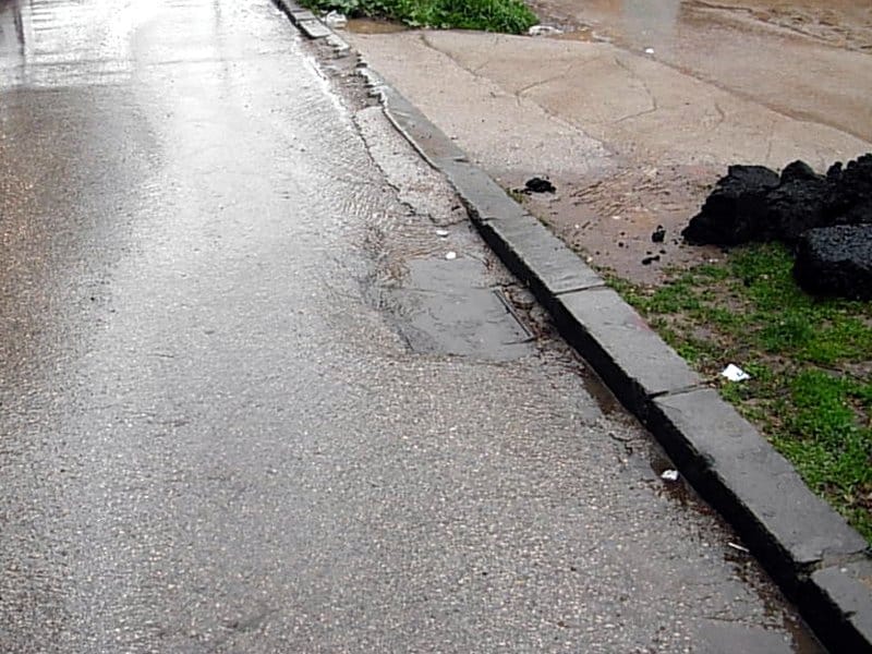 slivnik zapusen bozidarceva