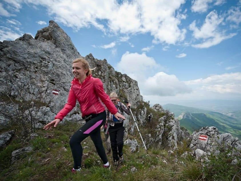 10336826 1559385707621289 8607333476573216675 n