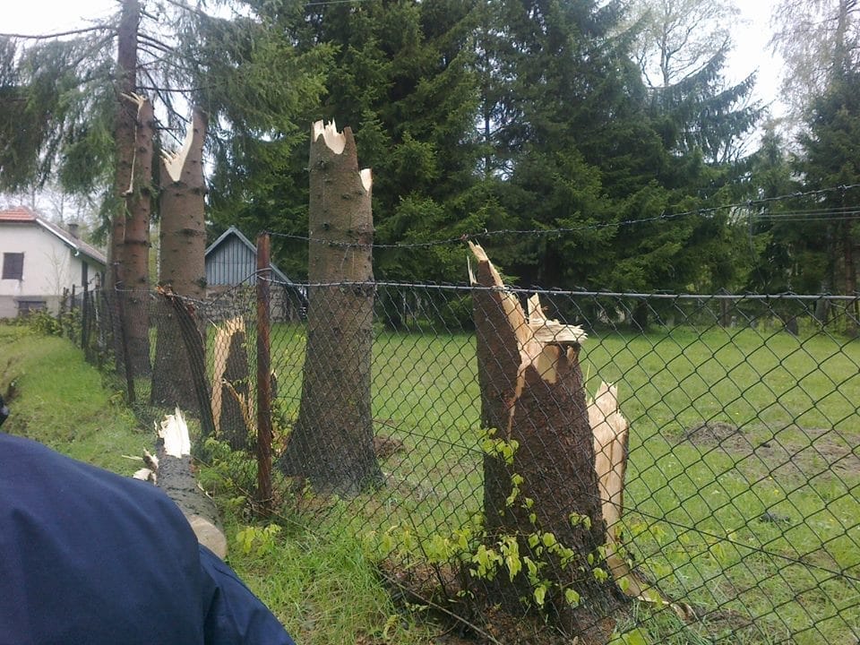 10269551 10201724765830367 7695352596869464826 n