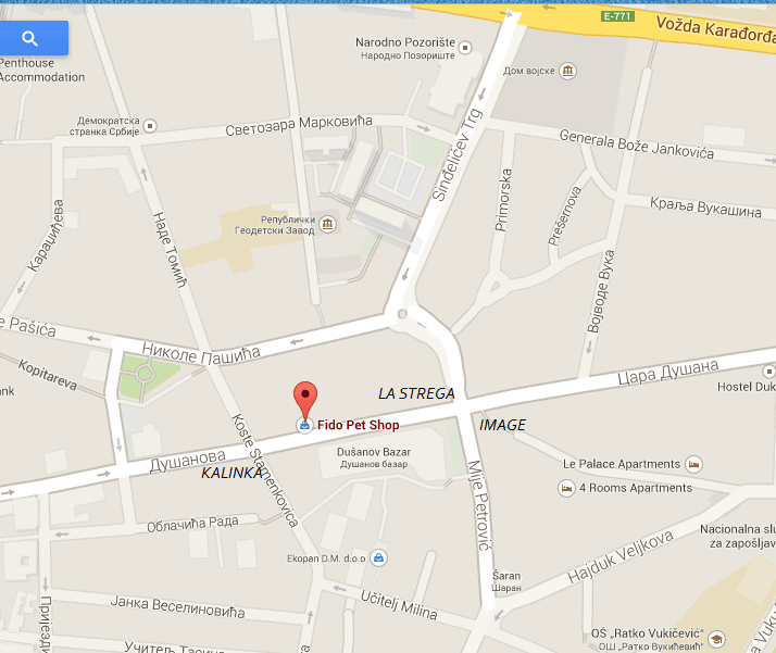 10336619 280931018747152 2033885429500894277 n