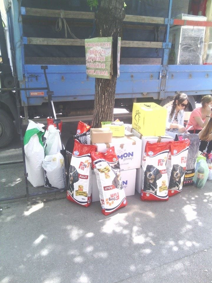 10341603 281369522036635 1771350495385665652 n