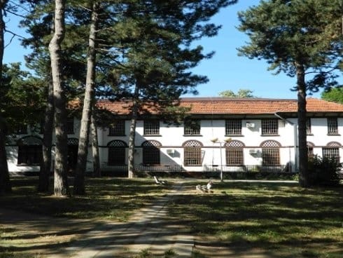 Pacijent psihijatrijske bolnice umro posle tuče 9 toponica