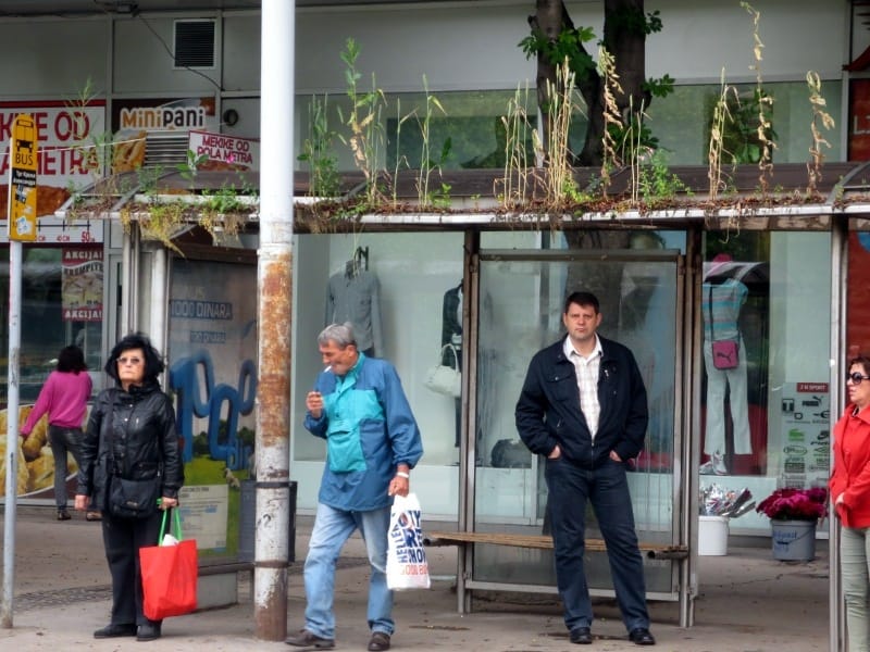 "Bašte" čak i na nadstrešnicama 19 Basta stajaliste