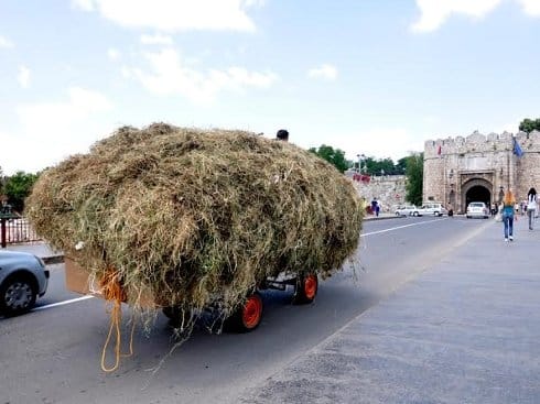 Zaprežna vozila u centru Niša i pored zabrane 16 zaprega
