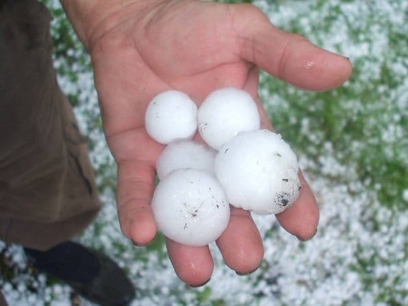 Tan2013 6 10 213316931 0