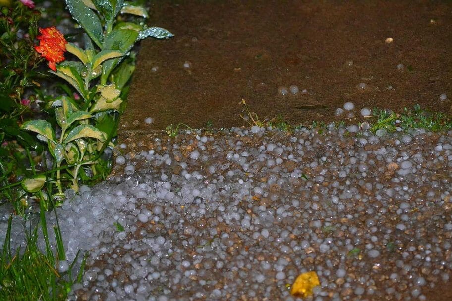 Jako nevreme noćas zahvatilo Svrljig 20 17