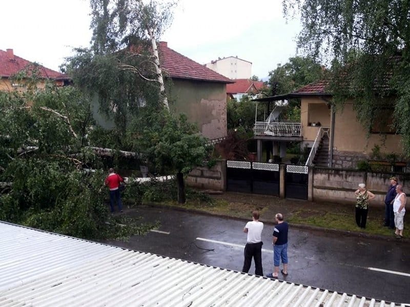 Pirot: Oluja čupala drveće i prevrtala kontejnere 20 Nevreme Pirot