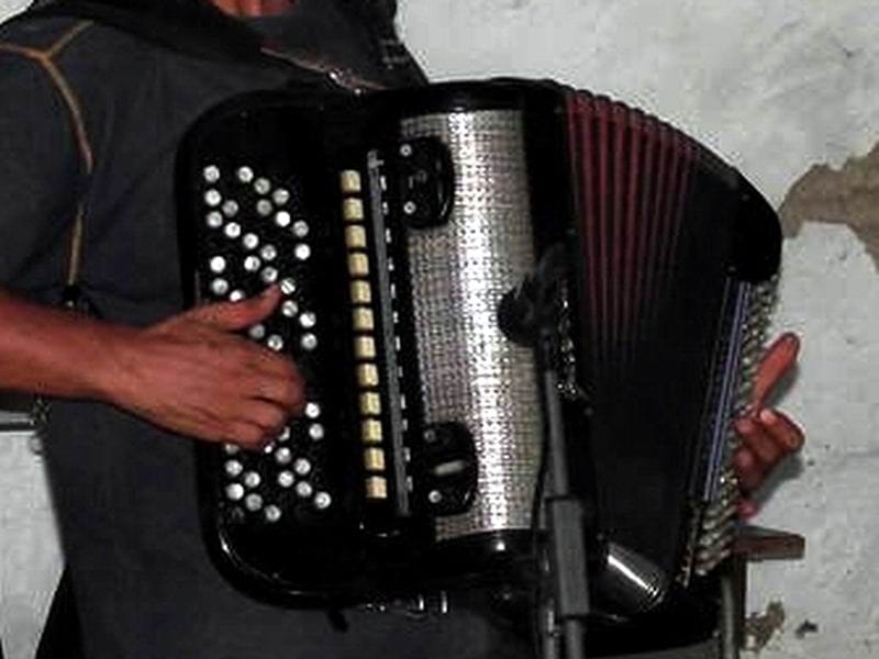 harmonika ilustracija Kosta Juzne vesti