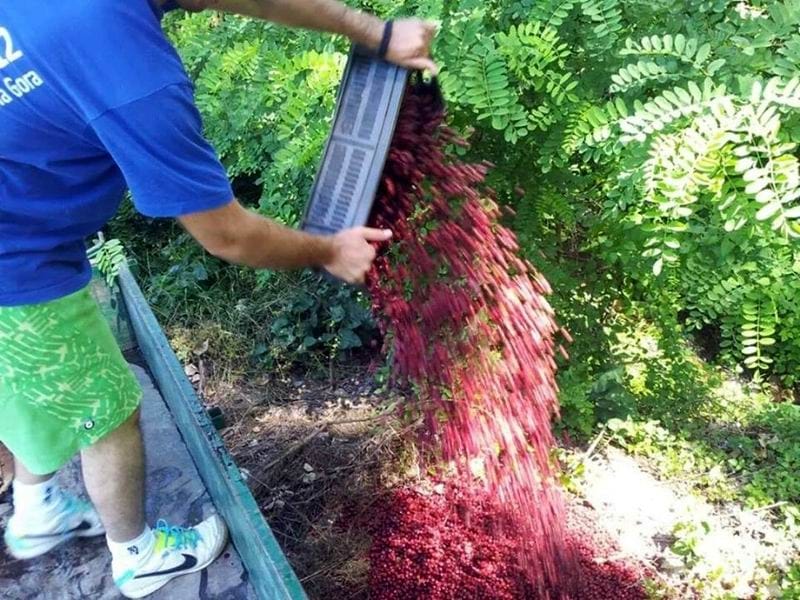 10537446 250933605106257 9207991628799655679 n