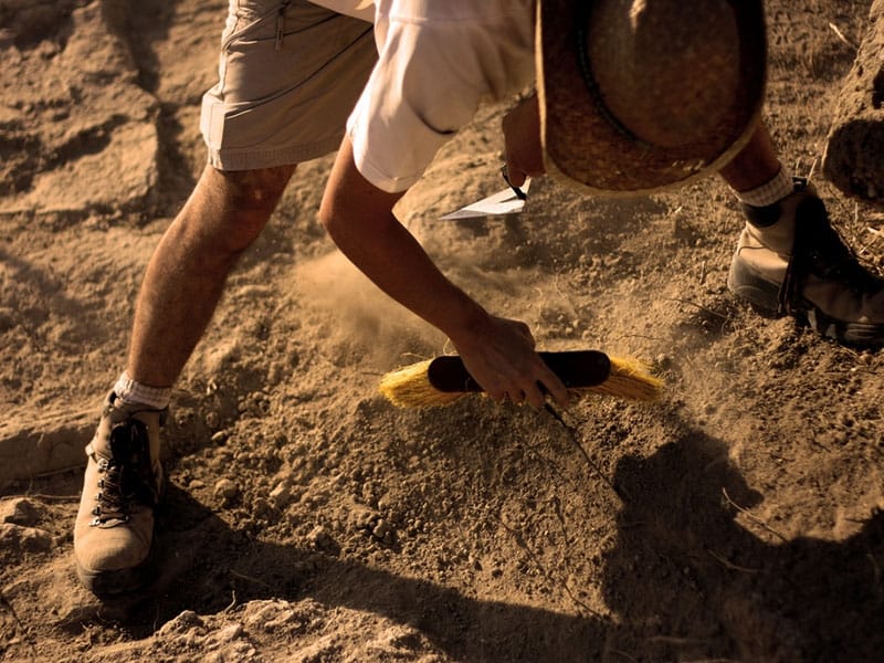 Studije arheologije za nekoliko godina i u Vranju 4 arheologija2