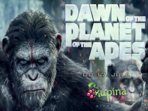 Planeta majmuna Kupina