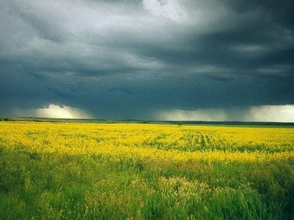 Predavanja za poljoprivrednike o osiguravanju useva 19 storm field