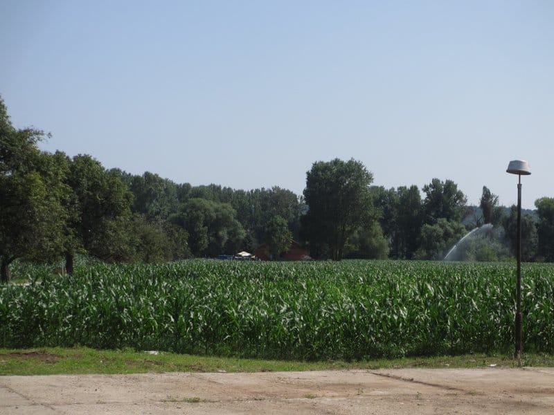 Zatvorenici oživeli "Vojnu ekonomiju" u Medoševcu 11 IMG 4788