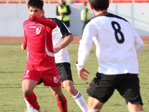 490x370 nikola toti mitrovic