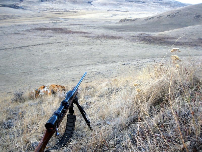 puska karabin flickr com