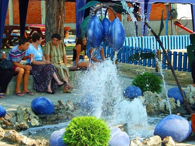 10520834 822886771084330 1159700199581245770 n