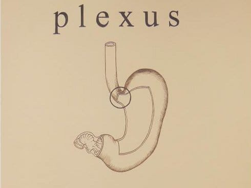 Izložba crteža "Plexus" u "Salonu 77" 14 pleksus