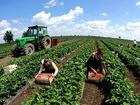 10643200 10204975652455856 1494485450 n