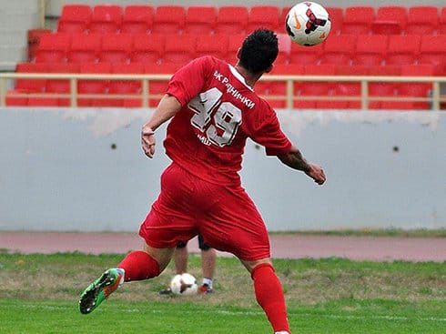 branko pauljevic radnicki ledja