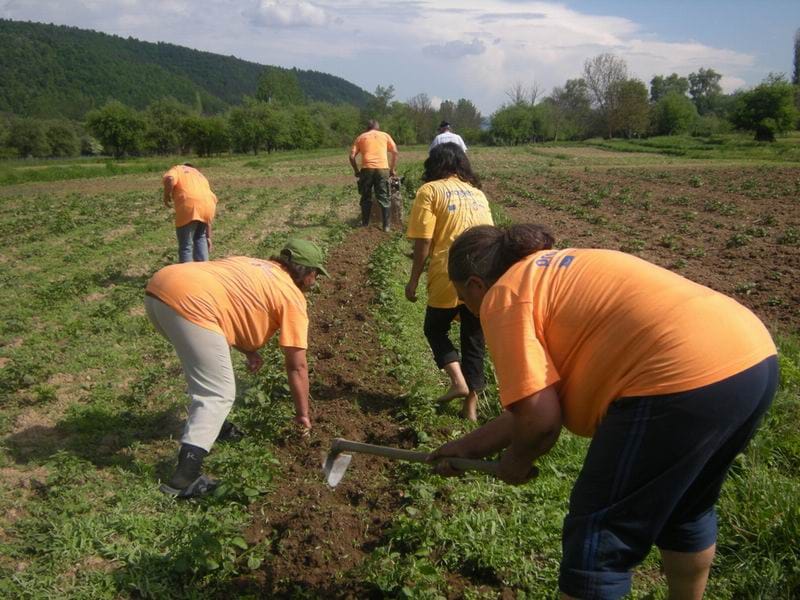 Arhiva CIF Bosilegrad EU PROGRES 2011