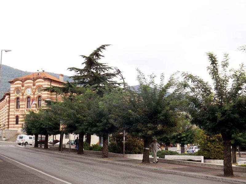 Vranje KOSTA Juzne vesti