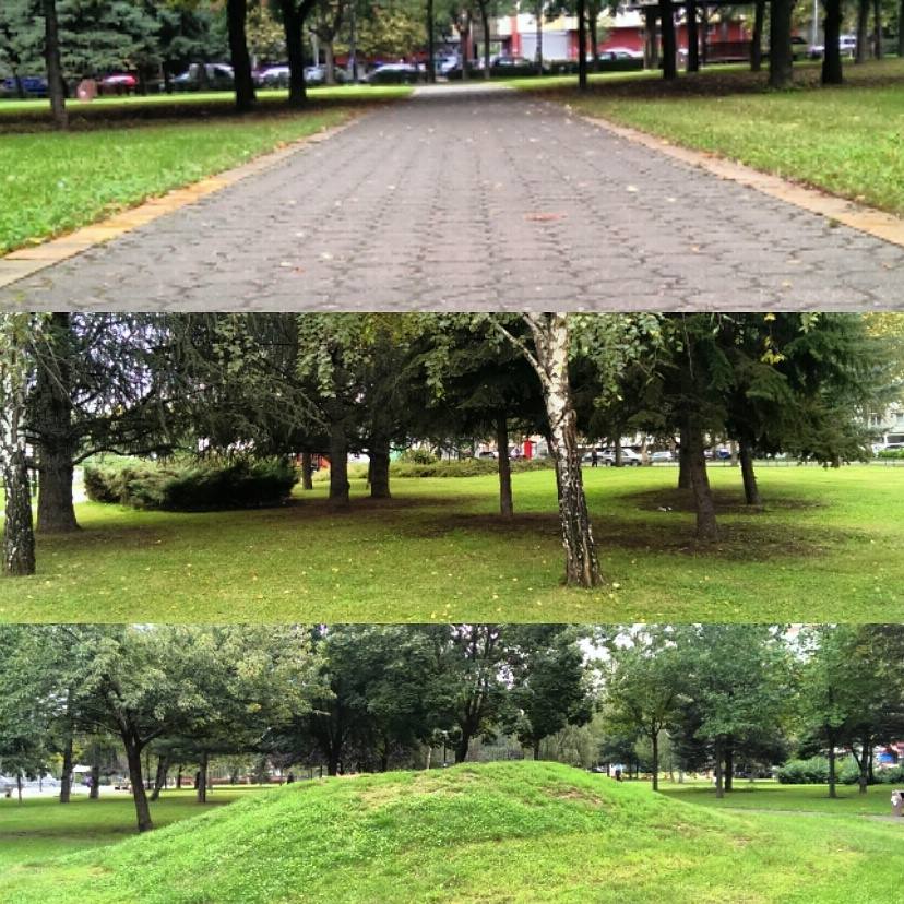 10641144 301568766714178 7879168673633099456 n 1