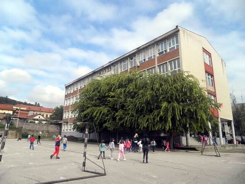 skola prokuplje ratko pavlovic cicko